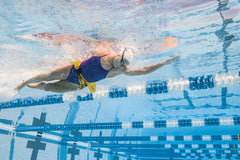 Centura - Finis Hydro Hip