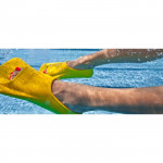 Labe inot, 37-39 - Finis Zoomers Gold
